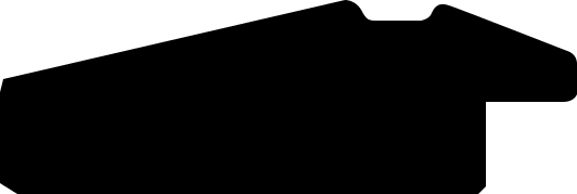 Baguette bois profil pente largeur 4.5cm de couleur noir mat filet noir