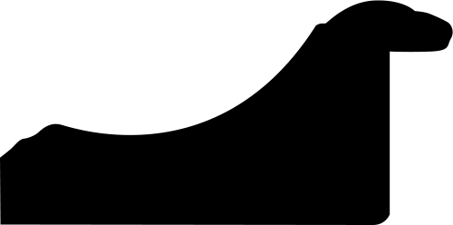 Baguette bois profil doucine inversée largeur 4.4cm  couleur noire satiné filet or - 61x46