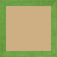 Cadre bois profil plat largeur 2.5cm couleur vert menthe satiné - 33x95
