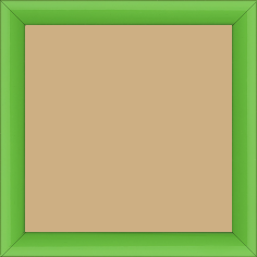 Cadre bois profil méplat largeur 2.3cm couleur vert tonique laqué - 25x25