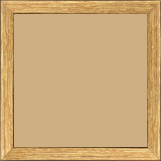 Cadre bois profil plat largeur 2cm hauteur 3.2cm couleur or - 50x100
