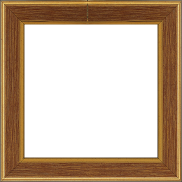 Cadre bois profil plat largeur 3.5cm couleur or fond bordeaux filet or - 61x46