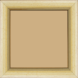 Cadre bois profil plat largeur 3.5cm couleur argent chaud filet argent - 60x90