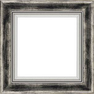 Cadre bois profil incurvé largeur 5.7cm de couleur noir fond argent marie louise blanche mouchetée filet argent intégré - 20x30