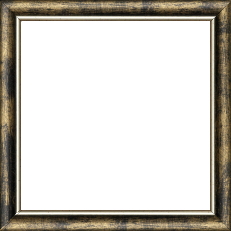 Cadre bois profil arrondi largeur 2.1cm  couleur noir fond or filet argent chaud - 25x60