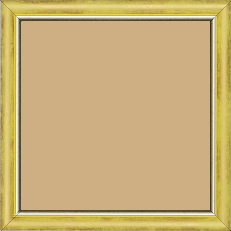 Cadre bois profil arrondi largeur 2.1cm  couleur  jaune fond or filet argent chaud - 20x60