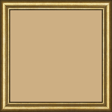 Cadre bois profil arrondi largeur 2.1cm couleur or filet or - 18x24