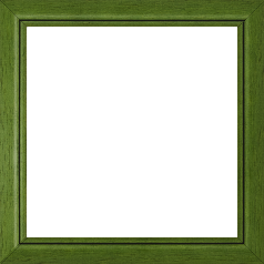 Cadre bois profil bombé largeur 2.4cm couleur vert sapin satiné filet noir - 42x59.4