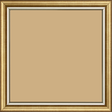 Cadre bois profil arrondi largeur 2.1cm  couleur or filet argent chaud - 34x46