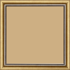 Cadre bois profil arrondi largeur 2.1cm  couleur or filet plomb - 50x50