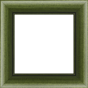 Cadre bois profil arrondi largeur 4.7cm couleur vert sapin satiné rehaussé d'un filet noir - 61x46