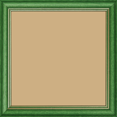 Cadre bois profil doucine inversée largeur 2.3cm vert satiné double filet or - 28x34