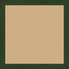 Cadre bois profil plat largeur 1.7cm couleur vert foncé veiné - 25x25