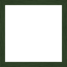 Cadre bois profil plat largeur 1.7cm couleur vert foncé veiné - 50x60