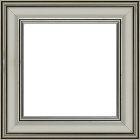 Cadre bois profil bombé largeur 5cm couleur argent chaud filet noir - 84.1x118.9
