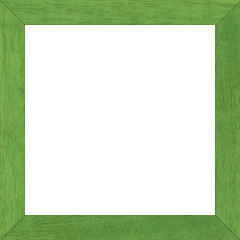 Cadre bois profil plat largeur 2.5cm couleur vert menthe satiné - 80x100 Cadre bois profil plat largeur 2.5cm couleur vert menthe satiné - 80x100