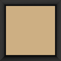 Cadre bois profil méplat largeur 2.3cm couleur noir laqué - 50x60 Cadre bois profil méplat largeur 2.3cm couleur noir laqué - 50x60