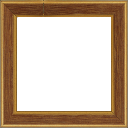 Cadre bois profil plat largeur 3.5cm couleur or fond bordeaux filet or - 61x46