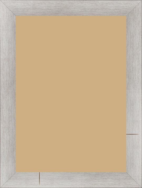 Cadre  bois argent — 42 x 59.4