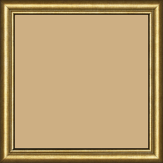 Cadre bois profil arrondi largeur 2.1cm couleur or filet or - 60x60 Cadre bois profil arrondi largeur 2.1cm couleur or filet or - 60x60