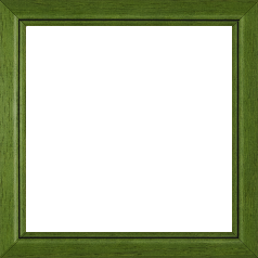 Cadre bois profil bombé largeur 2.4cm couleur vert sapin satiné filet noir - 61x46