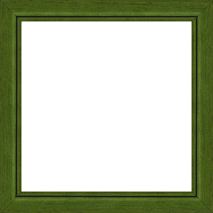 Cadre bois profil bombé largeur 2.4cm couleur vert sapin satiné filet noir - 60x60 Cadre bois profil bombé largeur 2.4cm couleur vert sapin satiné filet noir - 60x60