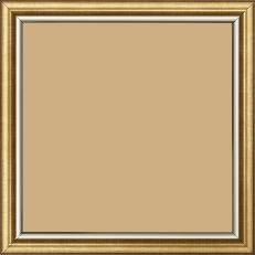 Cadre bois profil arrondi largeur 2.1cm  couleur or filet argent chaud - 60x60 Cadre bois profil arrondi largeur 2.1cm  couleur or filet argent chaud - 60x60