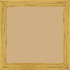 Cadre bois profil plat largeur 2.5cm hauteur 4.8cm or contemporain (hauteur feuillure 4.3cm ) - 50x100 Cadre bois profil plat largeur 2.5cm hauteur 4.8cm or contemporain (hauteur feuillure 4.3cm ) - 50x100