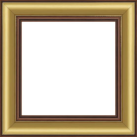 Cadre bois profil doucine inversée largeur 4.4cm marron rustique gorge or - 41x27 Cadre bois profil doucine inversée largeur 4.4cm marron rustique gorge or - 41x27