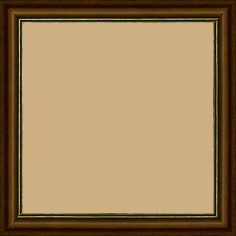 Cadre bois profil doucine inversée largeur 2.3cm marron satiné double filet or - 40x50 Cadre bois profil doucine inversée largeur 2.3cm marron satiné double filet or - 40x50