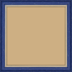 Cadre bois profil doucine inversée largeur 2.3cm bleu cérusé double filet or - 60x60