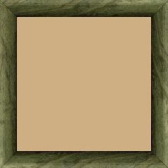 Cadre bois profil arrondi en pente plongeant largeur 2.4cm couleur vert sapin finition vernis brillant,veine du bois  apparent (pin) , - 70x100 Cadre bois profil arrondi en pente plongeant largeur 2.4cm couleur vert sapin finition vernis brillant,veine du bois  apparent (pin) , - 70x100