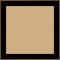 Cadre bois profil arrondi en pente plongeant largeur 2.4cm couleur noir satiné,veine du bois  apparent (pin) , angle du cadre extérieur filet or chromé - 20x20