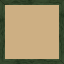 Cadre bois profil plat largeur 1.7cm couleur vert foncé veiné - 25x25